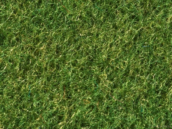 Lavavaip, 287 Muschino, Elea Polyane m²